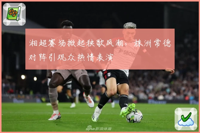 湘超赛场掀起秧歌风潮，株洲常德对阵引观众热情表演