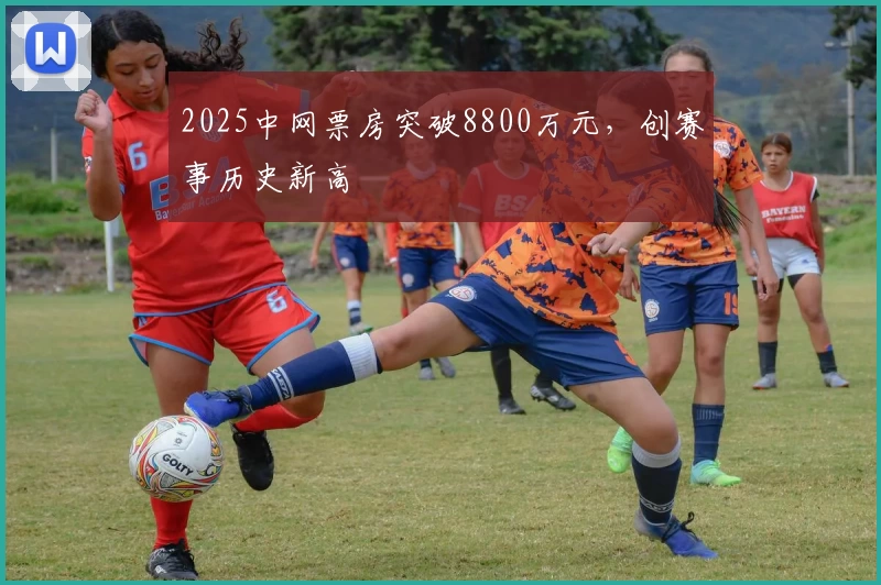 2025中网票房突破8800万元，创赛事历史新高