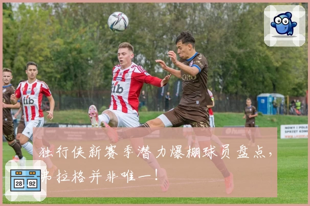 独行侠新赛季潜力爆棚球员盘点，弗拉格并非唯一！